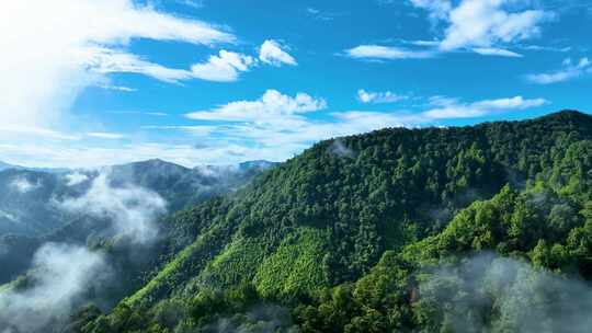 【4K】航拍穿云层