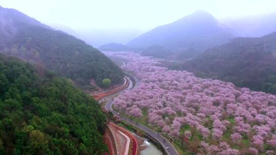 旅游景区，神奇的大自然，自然之美，助眠