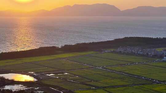 昆明江尾村油菜花航拍