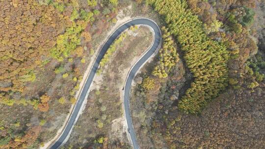 航拍本溪山桓仁间穿行于秋色中的道路