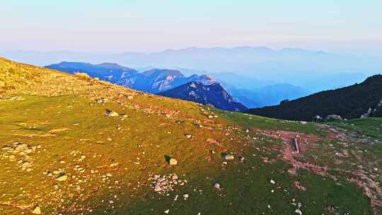 夏季高山草甸绿色森林牧场夕阳航拍