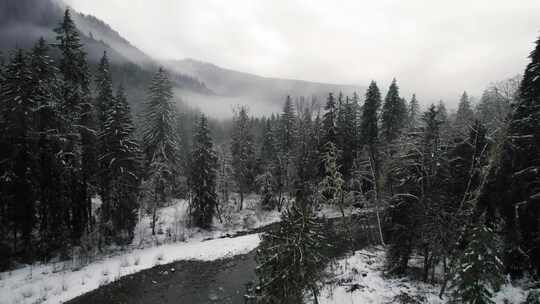 山，冬天，雪，树