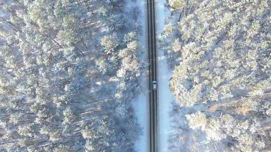 4K-航拍冬季行驶在松林间公路上的汽车