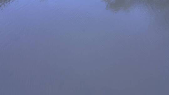 航拍：通透清澈的河水 水纹背景