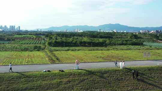 中国广东省佛山市三水区三水梁家村大榕树视频素材模板下载