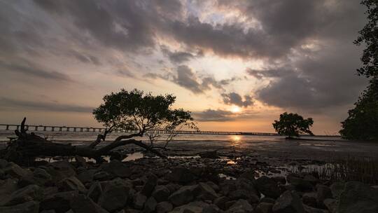 西湾红树林朝夕延时