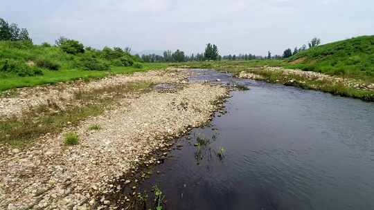 河滩 湿地 植被 沼泽地 2.7K