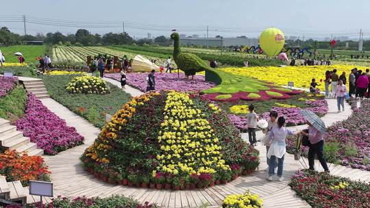 山西芮城花海