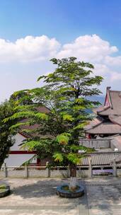 武功山紫极宫寺庙风景名胜