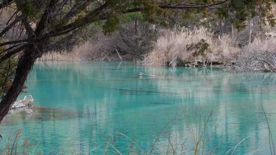 四川阿坝州九寨沟冬日山水