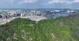 4K深圳市光明大雁山森林公园18高清在线视频素材下载
