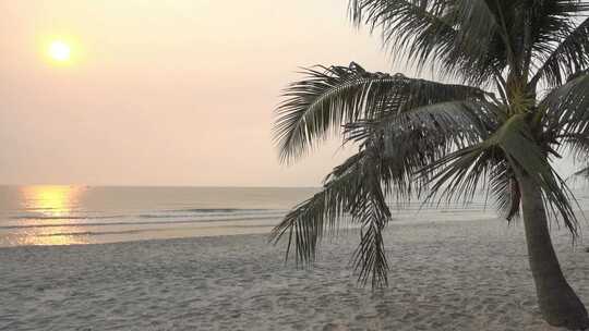 大海沙滩海浪椰子树