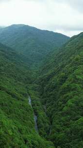 竖版航拍湖北神农架大山峡谷交通公路