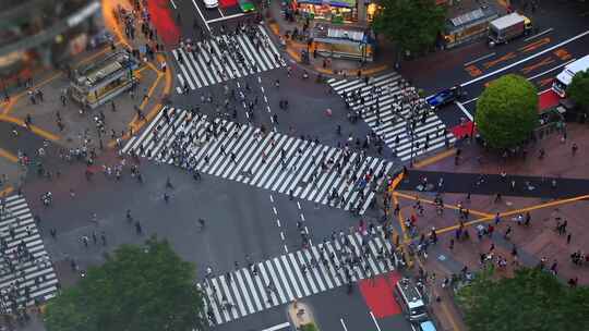 东京，人行横道，道路，人群