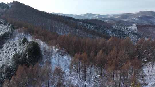 航拍东北下暴雪林海雪原威虎山