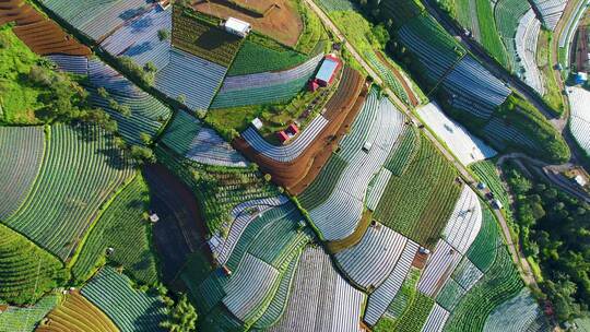 尼泊尔范爪哇的鸟瞰图是在山坡上的乡村之旅