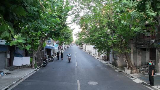 杨浦区马路街景