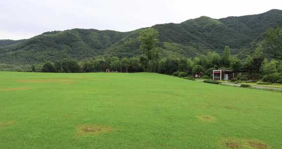 生态山庄 美丽草坪高山森林氧吧