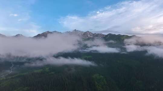 航拍雪山森林云雾