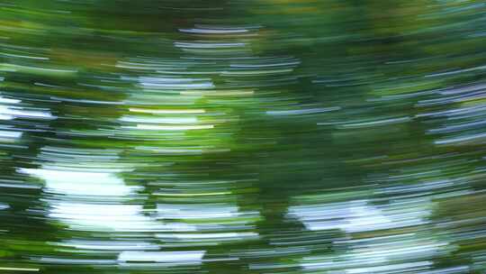 树叶光影模糊运动森林转场绿色树木快速移动