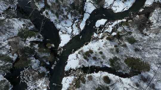 吉林长白山二道白河溪流水源地自然风光