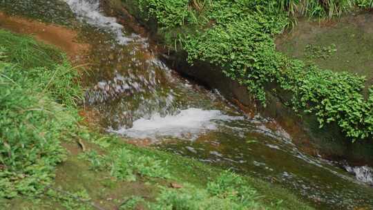 小溪流水山涧流水视频素材模板下载