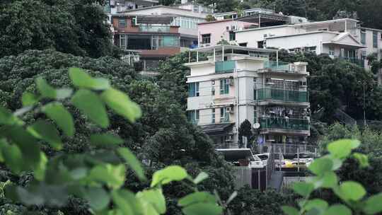 香港城市风光