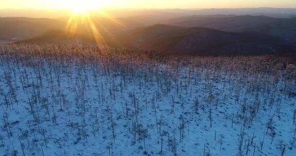 航拍夕阳照耀下的大兴安岭雪色山林