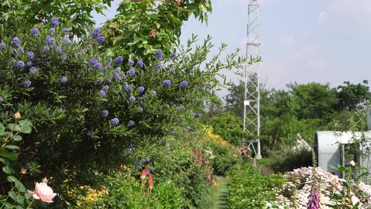 花园花海植物园景区景点