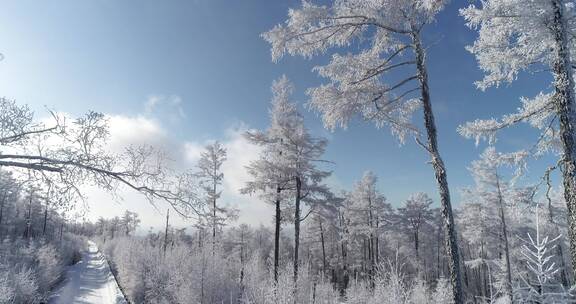 零下40度的低温航拍大兴安岭冰雪雾凇