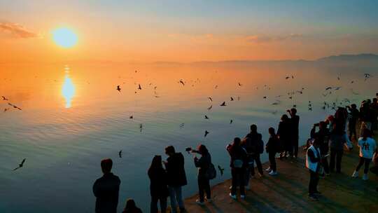 金色夕阳昆明滇池东岸海晏码头游客投喂海鸥