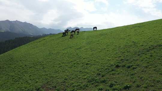 新疆天山航拍