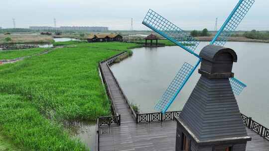 杭州湾湿地公园马拉松