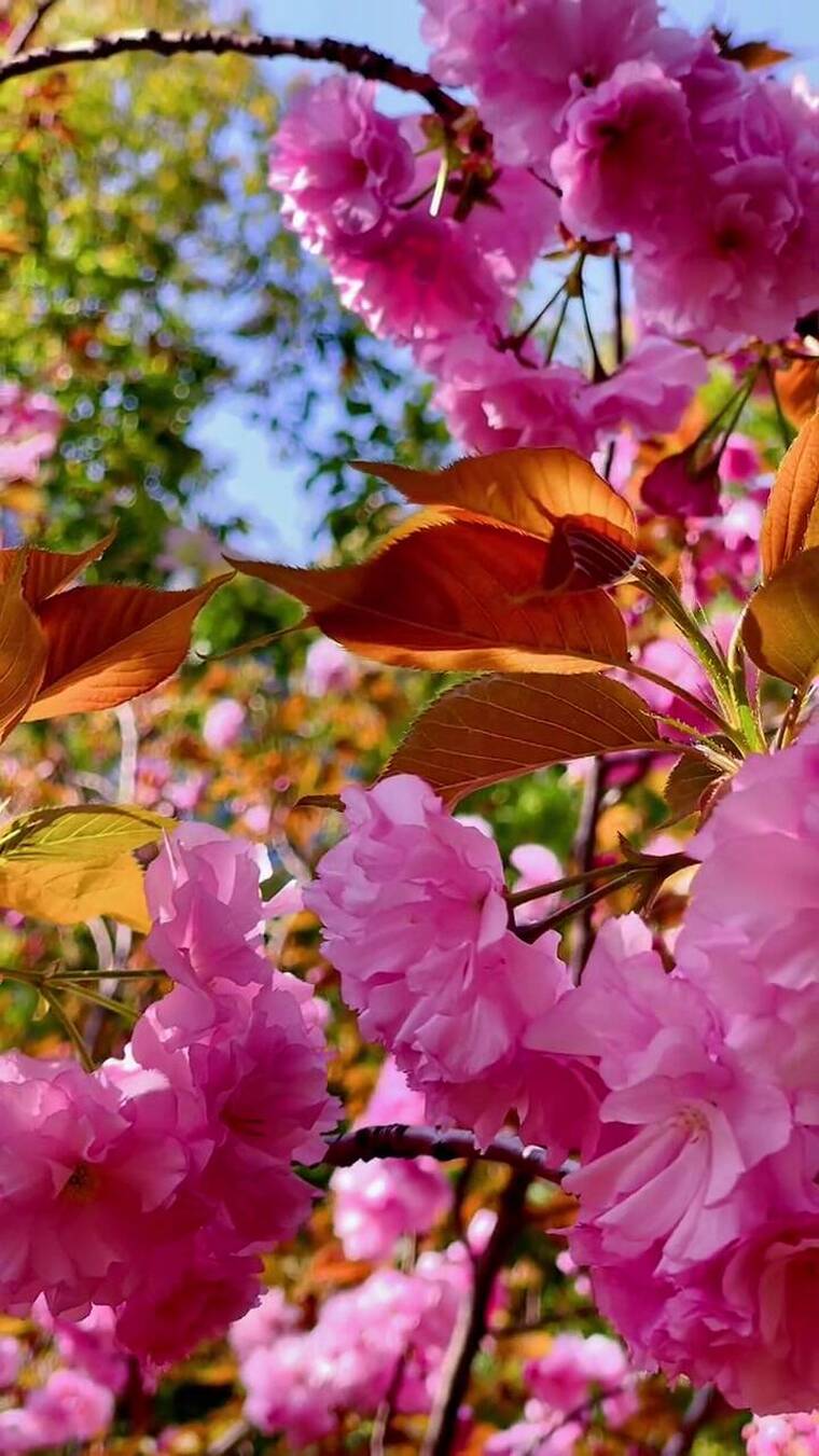 人间仙境，敬畏自然，最美的风景在路上