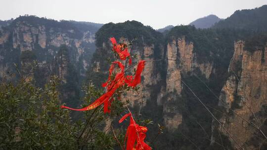 张家界武陵源5A景区猴子