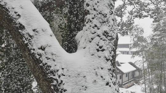 航拍城市风光长沙雪景古建筑岳麓书院雪景