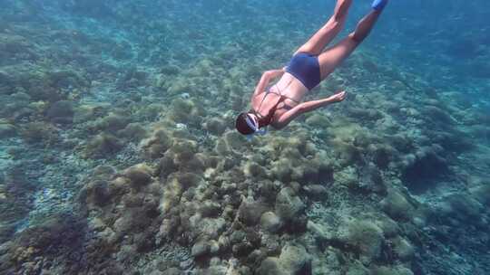 比基尼美女潜水鱼群珊瑚礁海龟海底美景