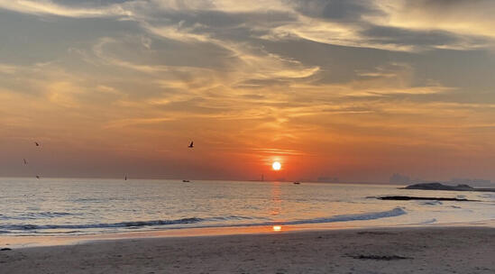 海滩夕阳海鸥实拍素材