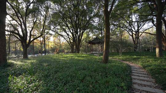 杭州西湖景区植物园