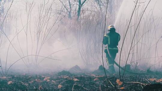 消防队员扑灭森林中的一场大火视频素材模板下载