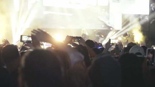 音乐节演唱会年轻人排队挥舞双手视频素材模板下载