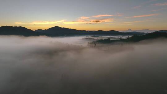 云雾中的茶山日出