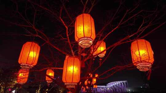 春节 元宵节 夜晚挂在树枝上的红灯笼特写