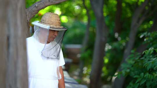 蜜蜂 养蜂人 蜂农