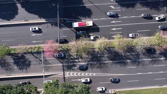 花卉盛开的广州道路交通航拍