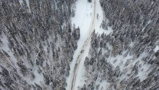 冬天喀纳斯雪中林间道路驾车