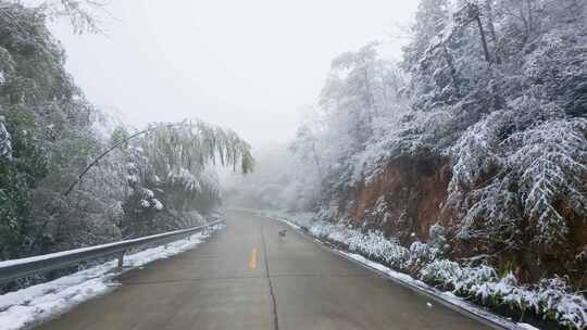 雪后山间公路自然风光与道路上的狗