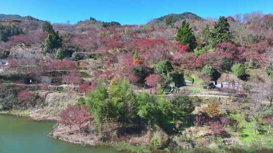 幸福水库 唐田村