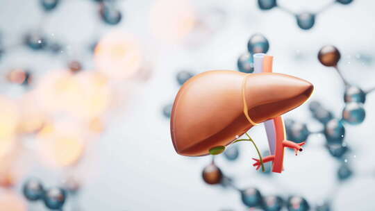 肝脏器官与生物分子背景三维渲染