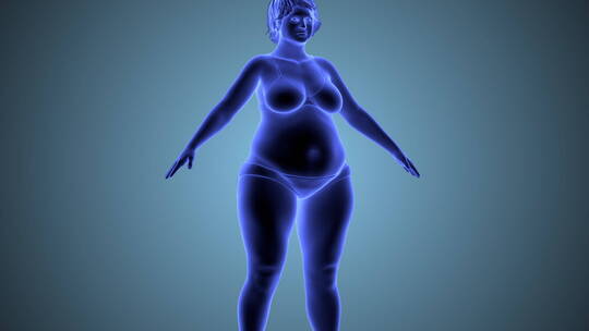 女人减肥动态变瘦3D动画展示